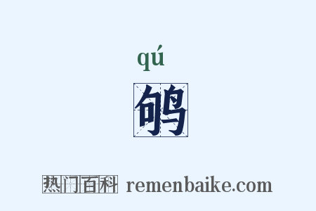 鸲是什么意思的图片